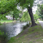 The river Avon, which flows through Christchurch