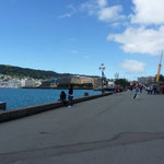the harbour in Wellington