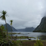 still Milford Sound