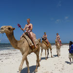 Kamelritt (Riding a Camel- not the cigarett.....)