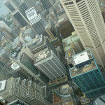 The view from the Skytower