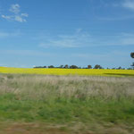 The stunning landscape of Australia in Viktoria