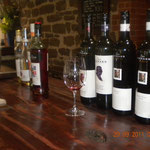 Barossa Valley Wine Tasting- What a pleasure