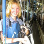 Maria is holding the milking machine