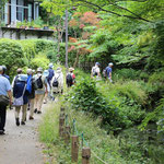 帷子川親水緑道