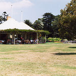 ｼﾄﾞﾆｰ･公園･ｶﾌｪ