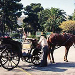 ｲﾀﾘｰ･ﾛｰﾏ　馬車