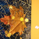 Abstrakte Fotografie - Fotowalk durch Lübecks Altstadt