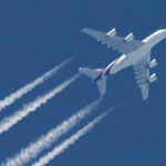 Thai Airways