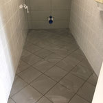 Wohnung Sanierung WC