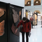 Museumsbesuch im Focus Terra ETH Zürich: Fossil Art