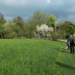 Wanderung bis Bucheggplatz