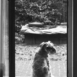 Fotograf: Wolfgang 