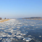 Eine kurze Frostperiode Mitte Januar ließ die berühmten runden Odereisschollen entstehen
