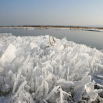 Seltsame Eisgebilde am Uferrand (Foto:O.Rochlitz)