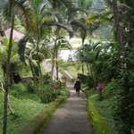 Stairs to the temple