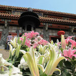 Po-Lin Kloster