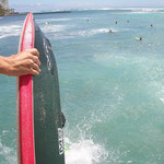 Surfen, Surfen und nochmals Surfen!!!