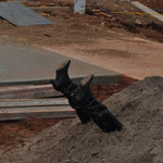 Lustig Baustelle...