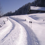 Herrlicher Winterwanderweg direkt vor unserer Haustüre!
