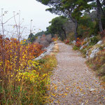 Der Karst • Herbstbild vom Sentiero della Salvia (dem Salbeipfad) • © foto introitaly