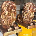 Leones