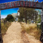 "Arco de entrada" 2.50 mt alto Fibra de vidrio
