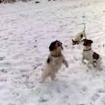 18.01.2010 - mit unserem verstobenen Benny und ihrer Tochter Bonnie beim Schneeflocken fangen