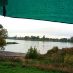 Rhein mit Regen