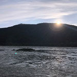 Am Rhein in Assmannshausem