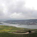 Blick auf Bingen