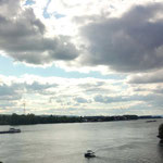 Und nochmehr Rhein