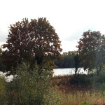 Der Rhein ;-)