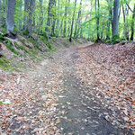Der Weg