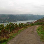 Wieder durch schicke Weinberge