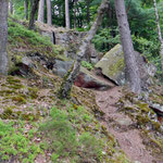 Schöner Weg über Stock und Stein durch den Wald