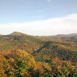Herbst im Siebengebirge