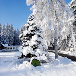 Winterimpressionen rund um das Buchhaus VIER