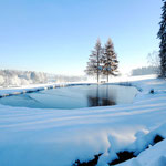 Winterimpressionen rund um das Buchhaus VIER