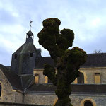 Eglise Saint-Timothée et Saint-Apollinaire de Romain.  Le chœur et le transept sont du XIIe siècle, le reste de l'édifice date principalement du XVIe siècle.