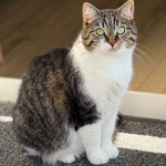 11.2025 Daisy vermittelt