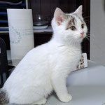 01.26 Frieda vermittelt