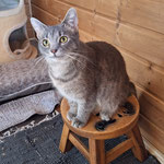 04.2025 Luna vermittelt