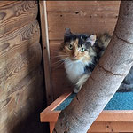 05.2025 Mia vermittelt