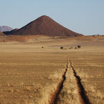 Wolvedanes (Namib Rand)