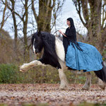 Tinker Irish Cob Spanischer Schritt Tamara Wittkopf Halsring Reitkunst