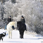 Ausritt im Schnee