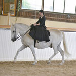 P.R.E. Damensattel Reitkunst Tamara Wittkopf