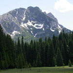 Uitzicht vanaf Crno Jezero (Durmitor)