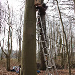 Ophangen kast in Beuk 3.4. Op de achtergrond Eik 1.2.